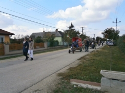 szuret16_24_20220219